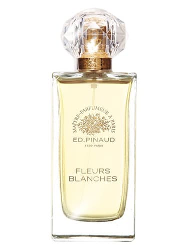 Fleurs Blanches - فلورز بلانچ