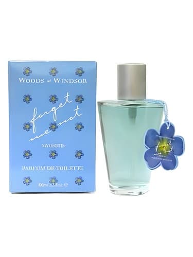 Forget Me Not - فراموشم کن نه