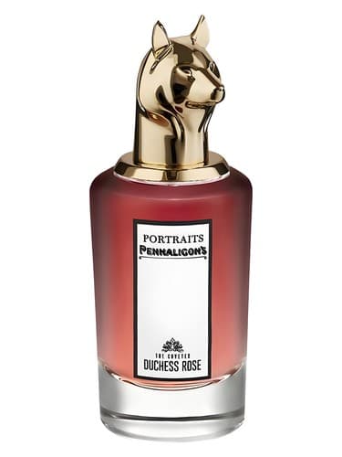 The Coveted Duchess Rose - د کاوتد دوشس رز