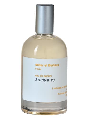 Study No. 23 / Newsletter - استادی نامبر 23 / نیوزلتر