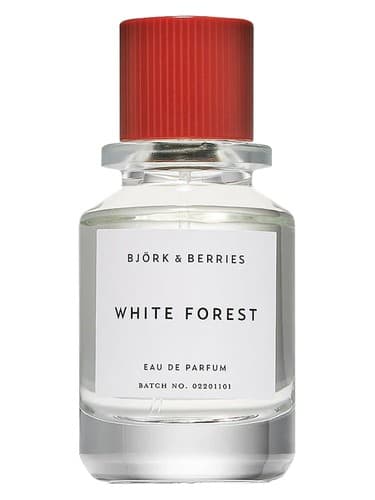 White Forest - وایت فارست