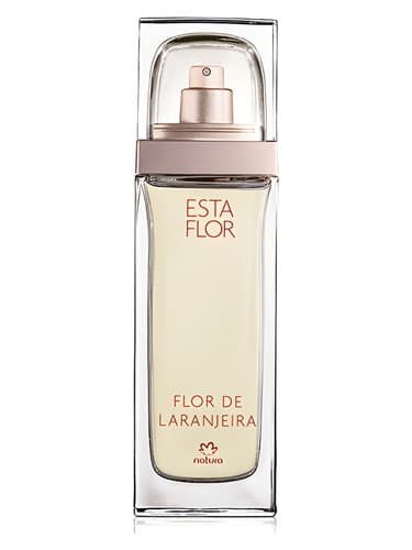Esta Flor Flor de Laranjeira - استا فلور فلور دو لارانژیرا