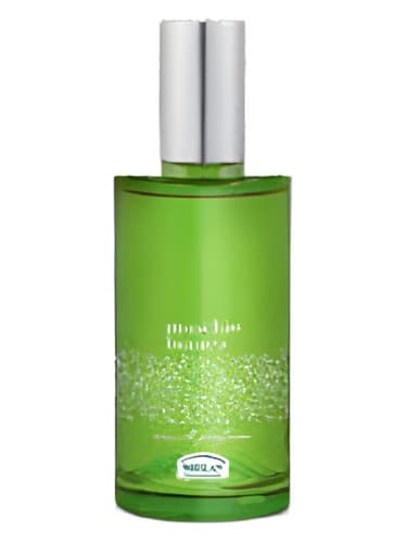 Muschio Bianco - موشیو بیانکو