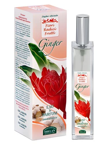 Ginger - زنجبیل