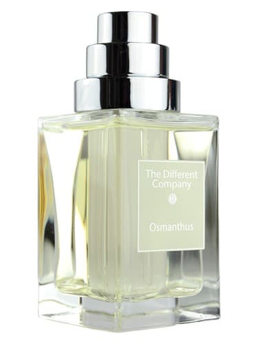 Osmanthus - اسمانتوس