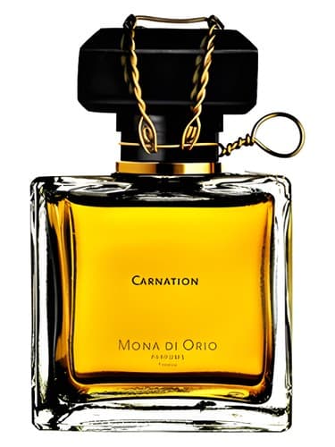 Carnation - کارنیشن