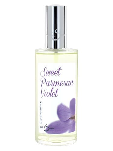 Sweet Parmesan Violet - سوییت پارمزان ویولت