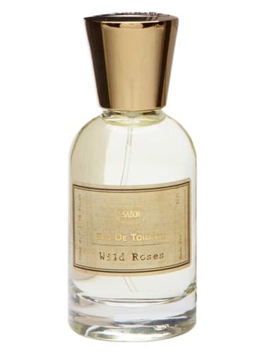 Wild Roses - گل رز وایلد