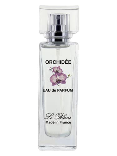 Orchidée