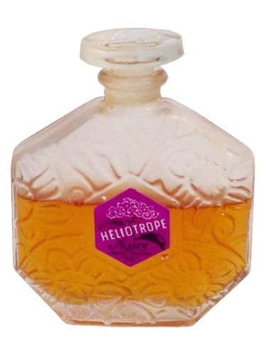 Heliotrope - هلیوتروپ