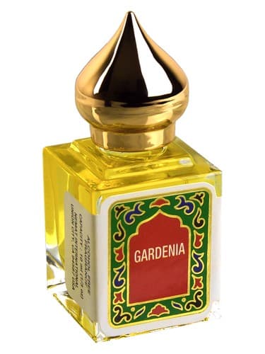 Gardenia - گاردنیا