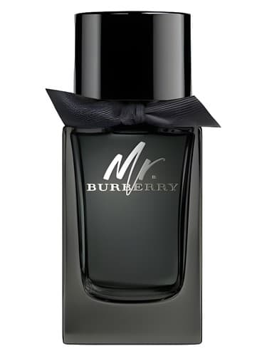 Mr. Burberry Eau de Parfum - مستر باربری او دو پارفوم