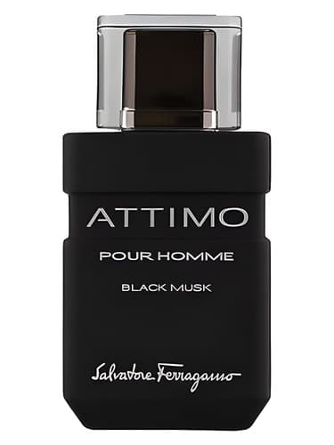 Attimo Black Musk Pour Homme 