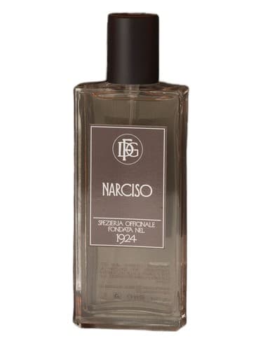 Narciso