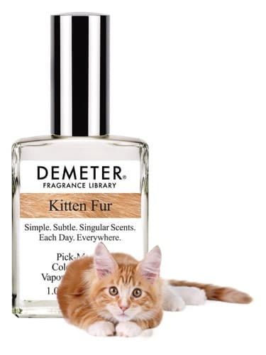 Kitten Fur - کیتن فر