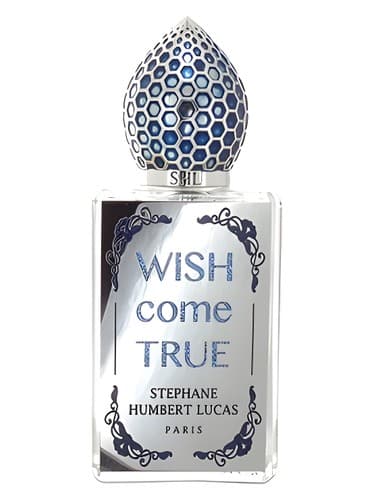 Wish Come True - ویش کام ترو