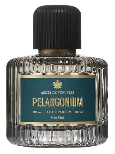 Pélargonium - پلارگونیوم