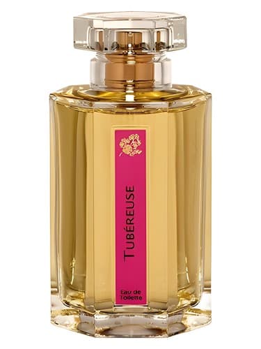 Tubereuse - توبروز