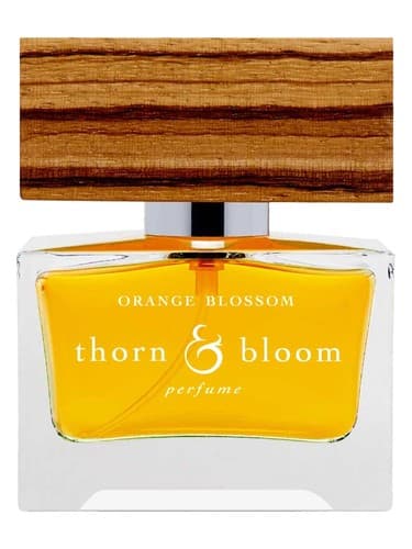 Orange Blossom