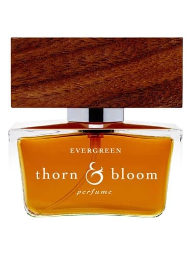 Evergreen