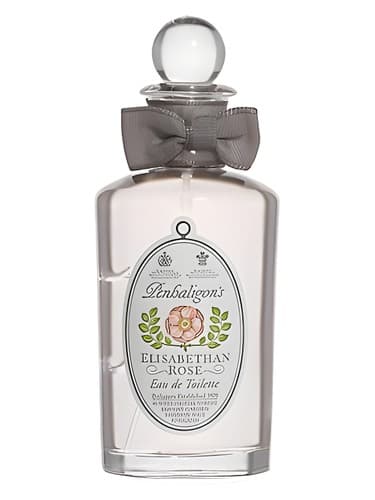 Elisabethan Rose - Vintage - الیزابتان رز وینتیج