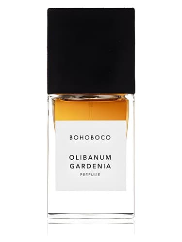Olibanum Gardenia - اولیبانوم گاردنیا