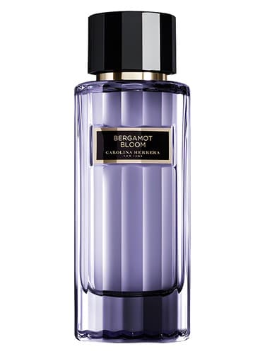 Bergamot Bloom - برگاموت بلوم