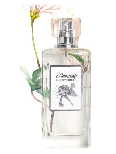 Honeysuckle