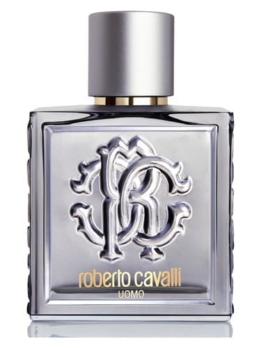 Roberto Cavalli Uomo Silver Essence - روبرتو کاوالی اومو سیلور اسنس