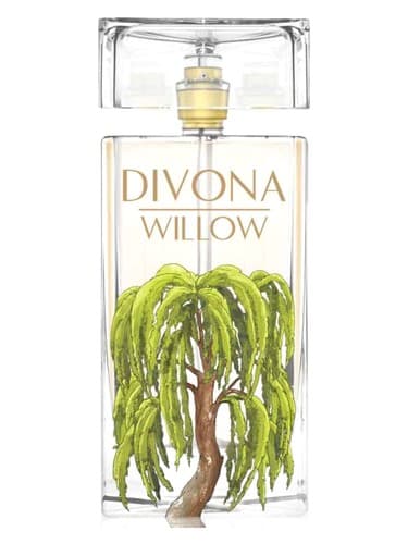 Willow - بید