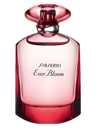 Ever Bloom Ginza Flower - اور بلوم گینزا فلاور
