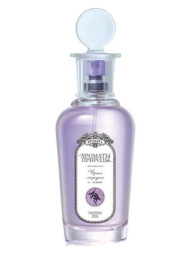 Черная смородина и мята - Black currant and Mint - بلک کارنت اند مینت