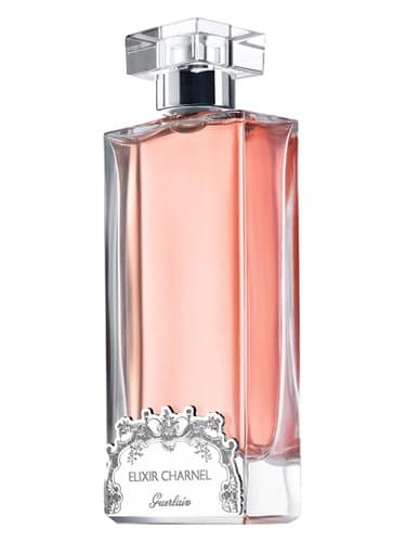 Elixir Charnel Gourmand Coquin