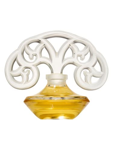 Jardin Nocturne - ژاردین نوکتورن