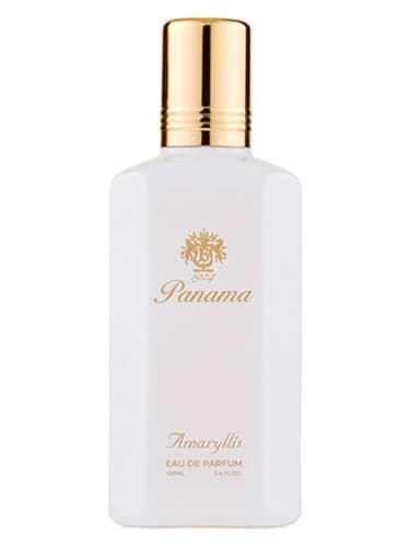 Amaryllis Bianco - آماریلیس بیانکو