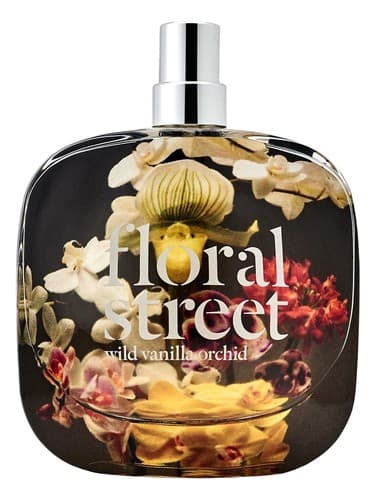 Wild Vanilla Orchid