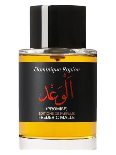 Promise - پرامیس