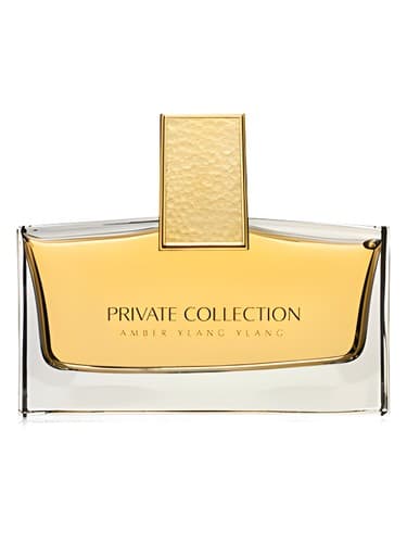 Private Collection Amber Ylang Ylang - پرایوت کالکشن امبر یلانگ یلانگ