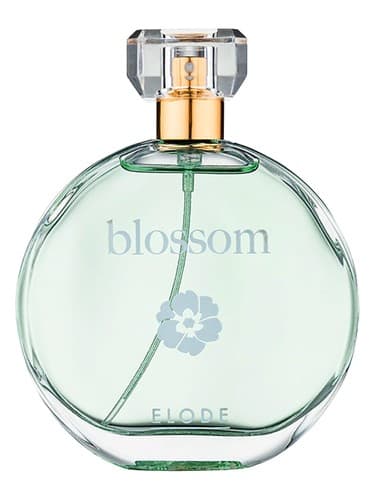 Blossom