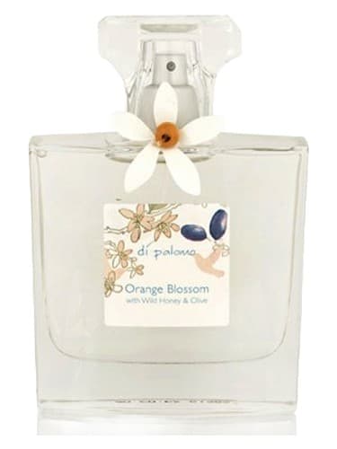 Orange Blossom - شکوفه اورنج