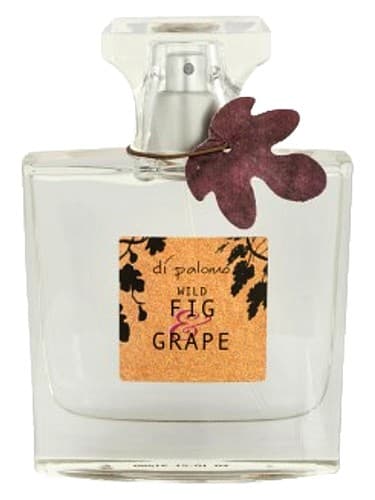 Wild Fig & Grape - انجیر و انگور وایلد