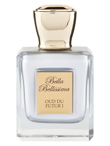 Oud Du Futur I