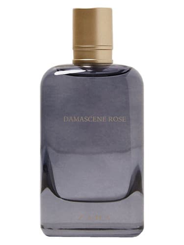 Damascene Rose - رز دمشقی
