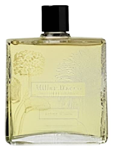 Cologne 1888