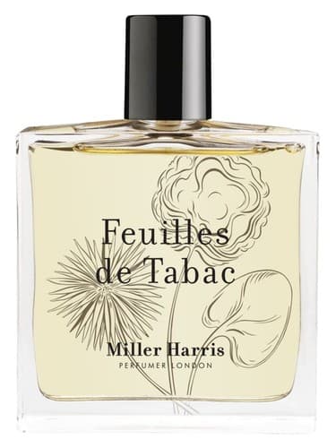 Feuilles de Tabac - فوی دو تاباک