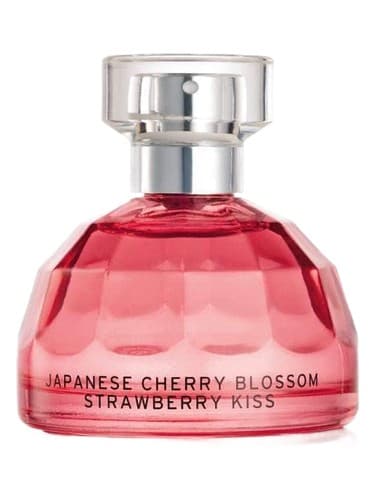Japanese Cherry Blossom Strawberry Kiss - جپنیز چری بلوسوم استرابری کیس