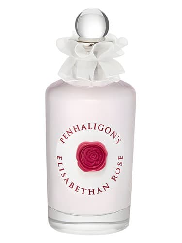 Elisabethan Rose - الیزابتان رز