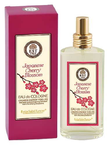 Japanese Cherry Blossom - شکوفه چری ژاپنی