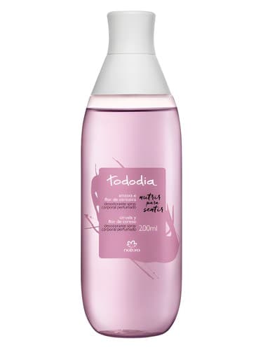 Ameixa e Flor de Cerejeira