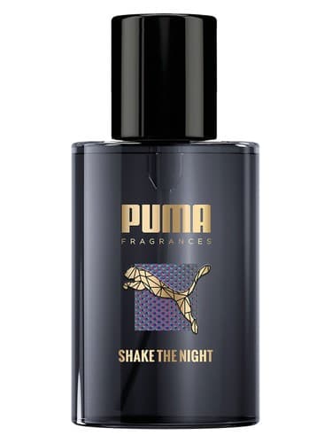 Shake The Night - لرزش نایت